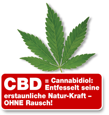 CBD: Cannabidiol: Entfesselt seine erstaunliche Natur-Kraft – OHNE Rausch!