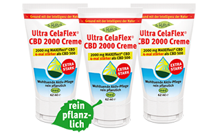 Angebot