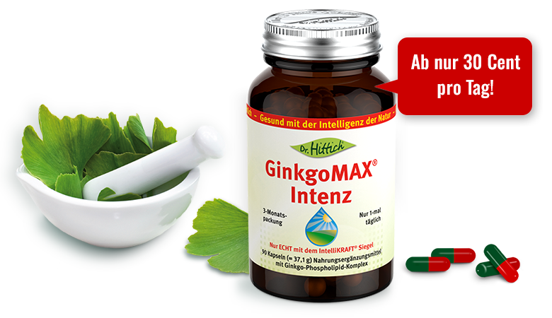 GinkgoMAX Intenz 3-Monatspackung
